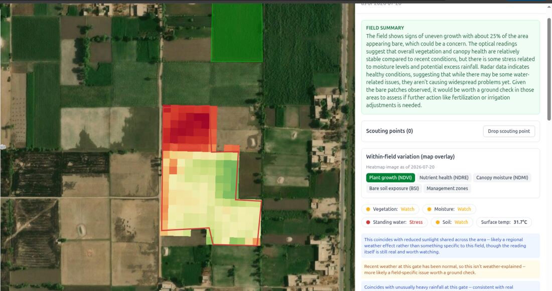 AgriFlow field health report for a sugarcane field, showing the within-field vigour heatmap, healthy/watch/stress verdicts and weather-context notes for the affected area