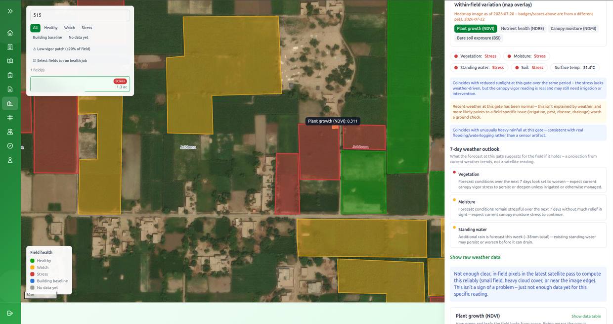 AgriFlow satellite crop monitoring map of a sugar mill cane zone, with every sugarcane field colour-coded healthy, watch or stress